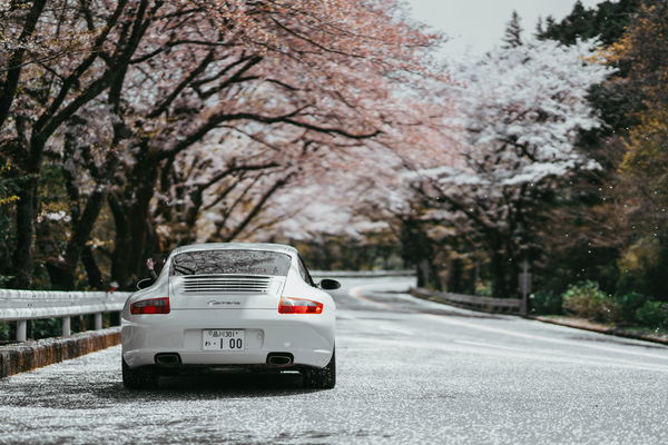 porsche