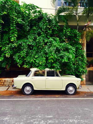 trabant