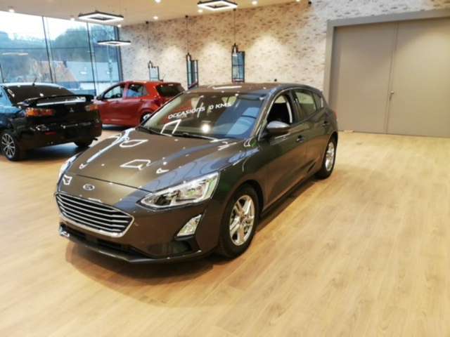 Ford Focus TREND EDITION BUSINESS 150 CV 6V