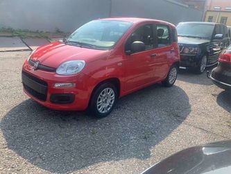 Fiat Panda 1.2i Easy (EU6d-TEMP) 12 mois de garantie