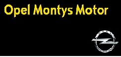 Garage Montys Motor SPRL