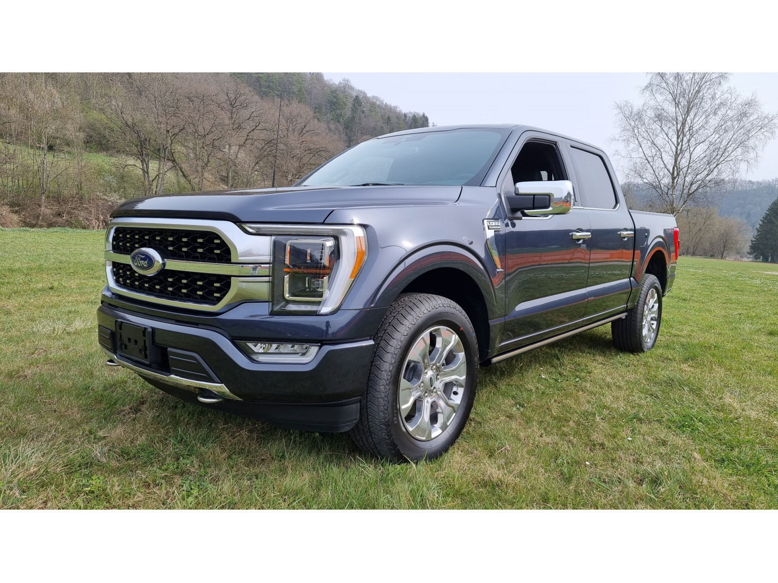 Ford F 150 F-150 Platinum