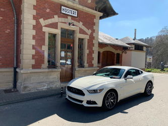 Ford Mustang 5.0 GT 50 Years Edition Auto.