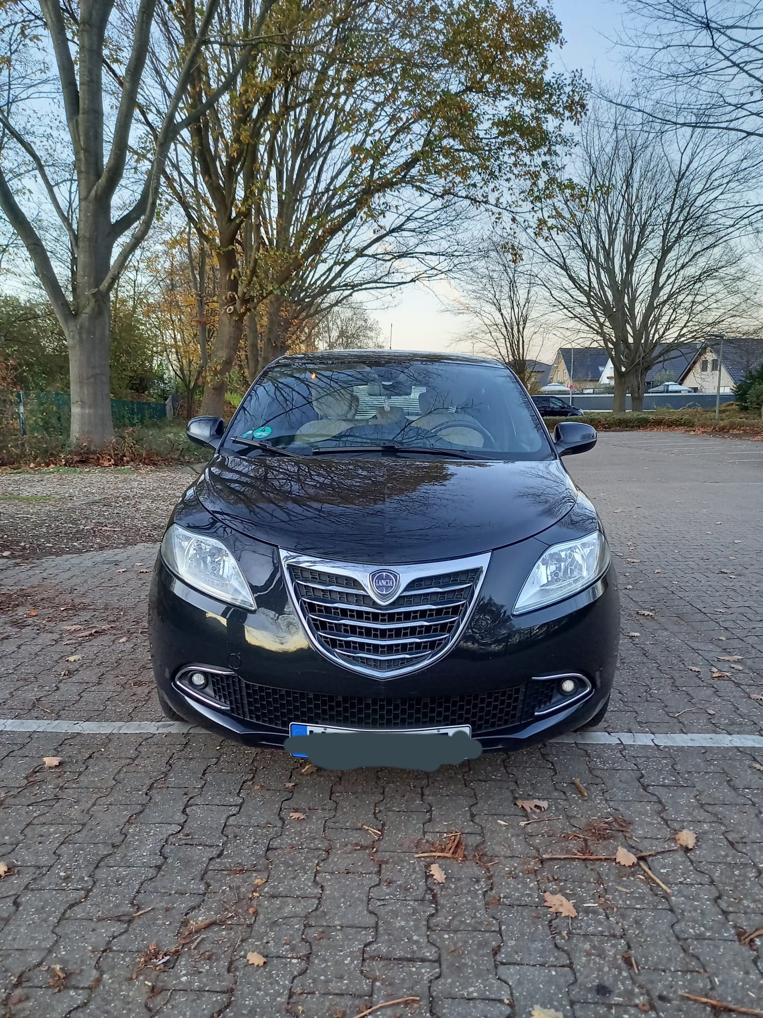 Lancia YPSILON 5P/D - 2011 Gold