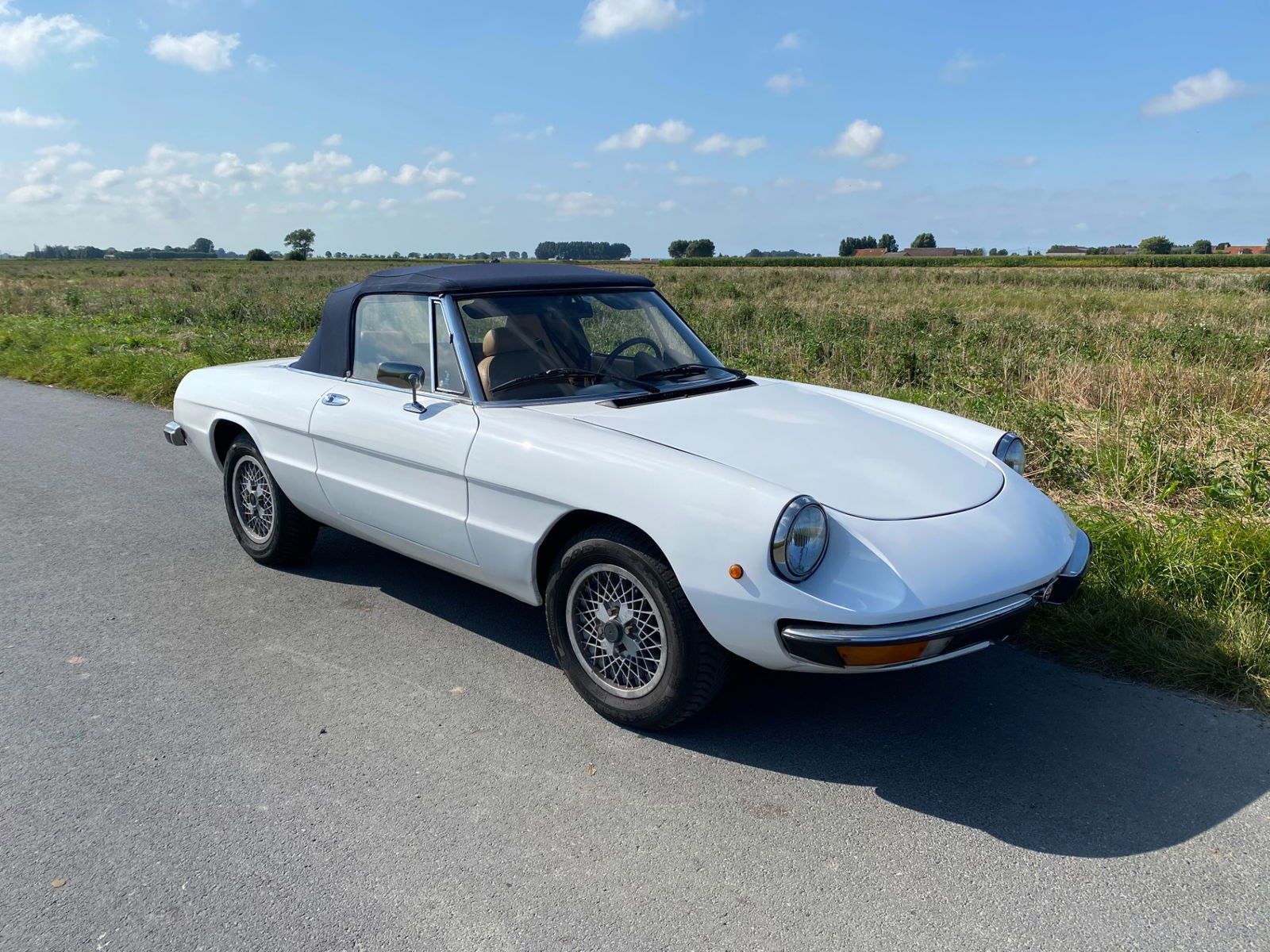 Alfa Romeo Spider