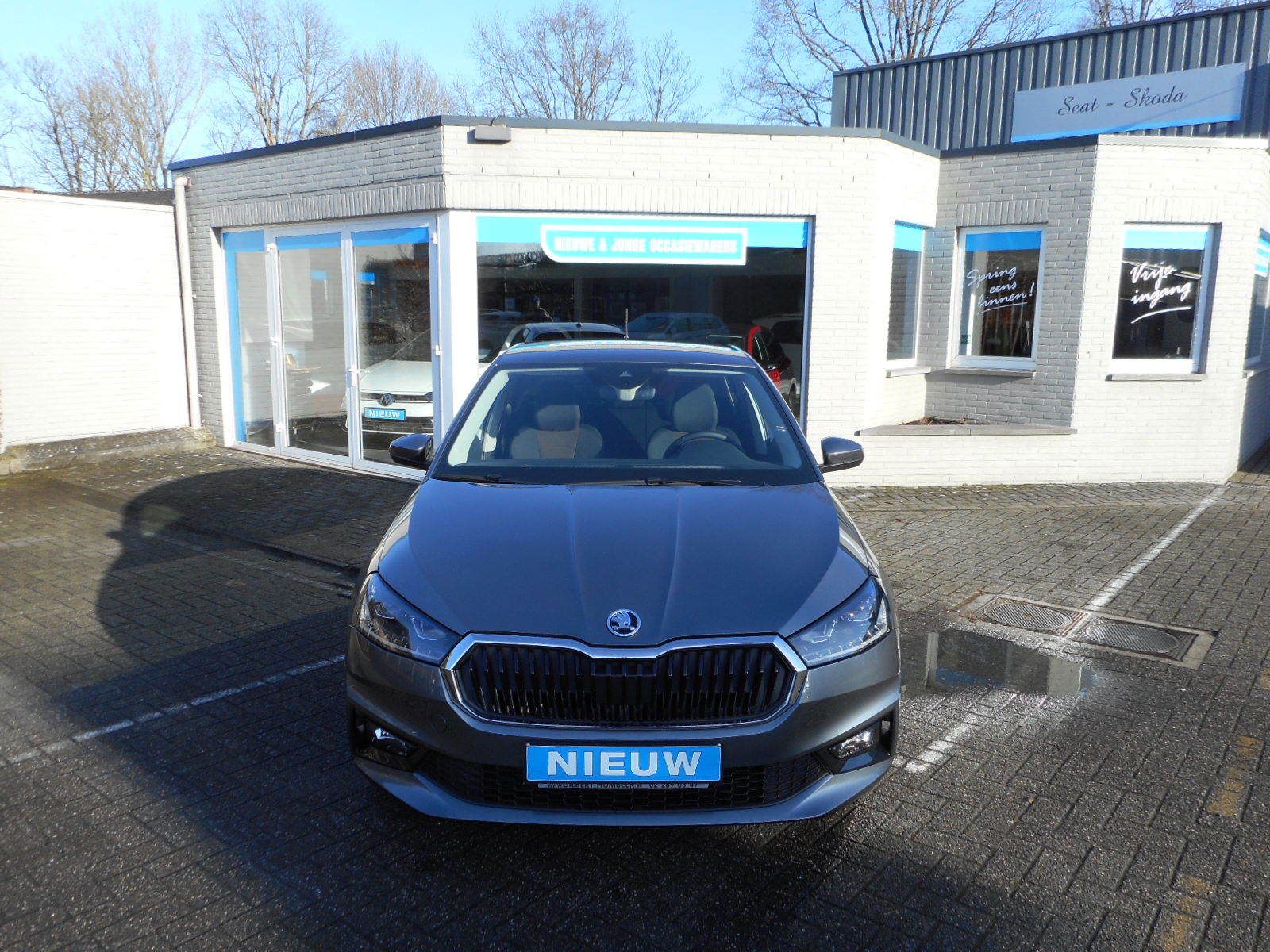 Skoda Fabia Style