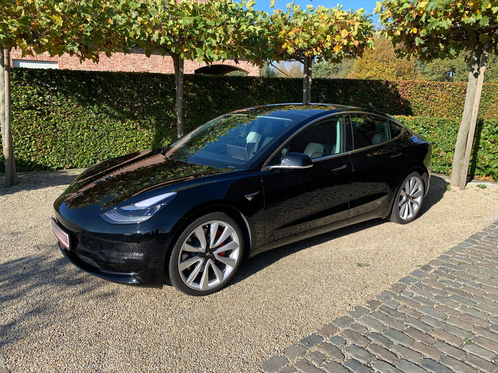 Tesla MODEL 3 75 kWh Performance Dual Motor