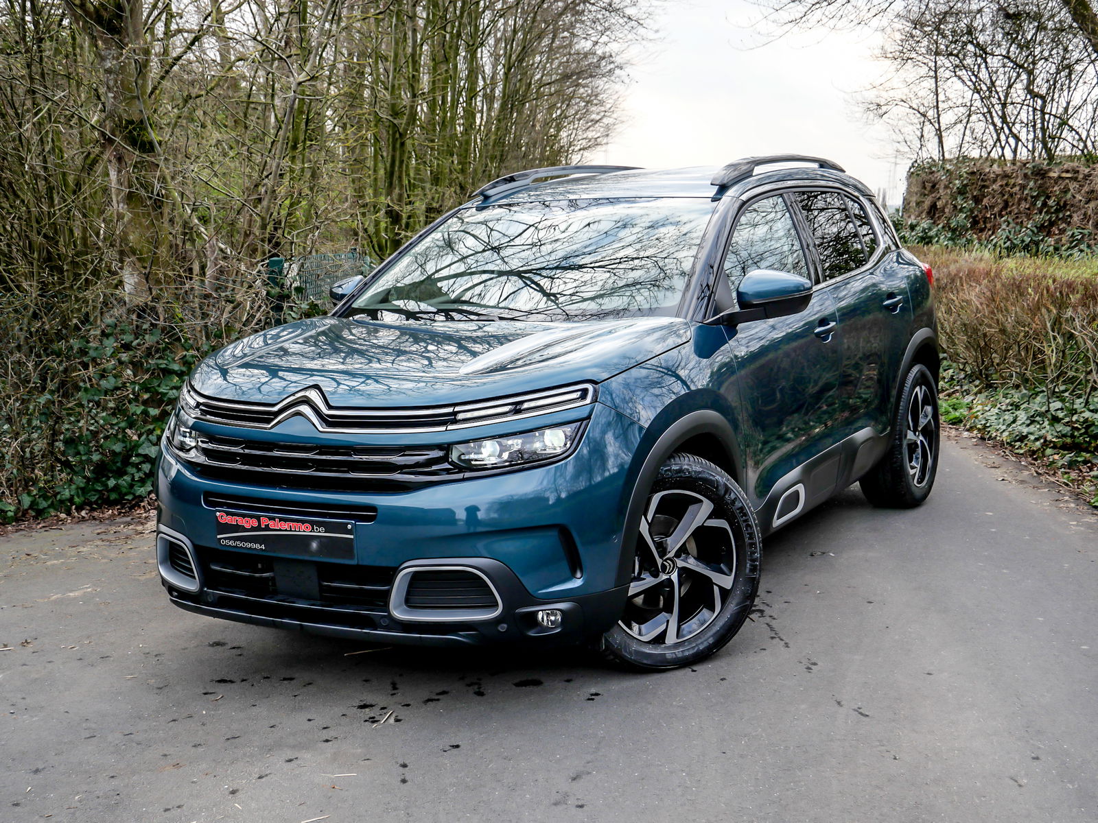 Citroen C5 AIRCROSS 1.5 BlueHDi Shine 130PK MET TREKHAAK