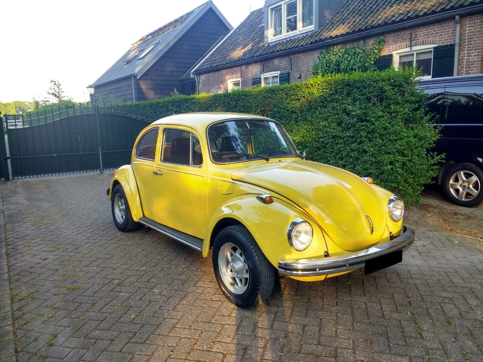 Volkswagen Beetle