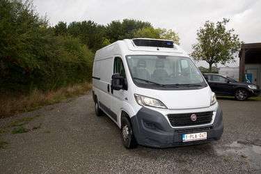 Fiat Ducato L2H2 2.3 MJET KOELWAGEN CARRIER
