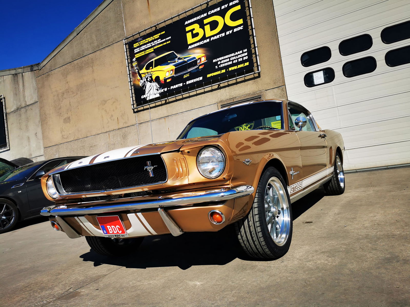 Ford USA Mustang fastback