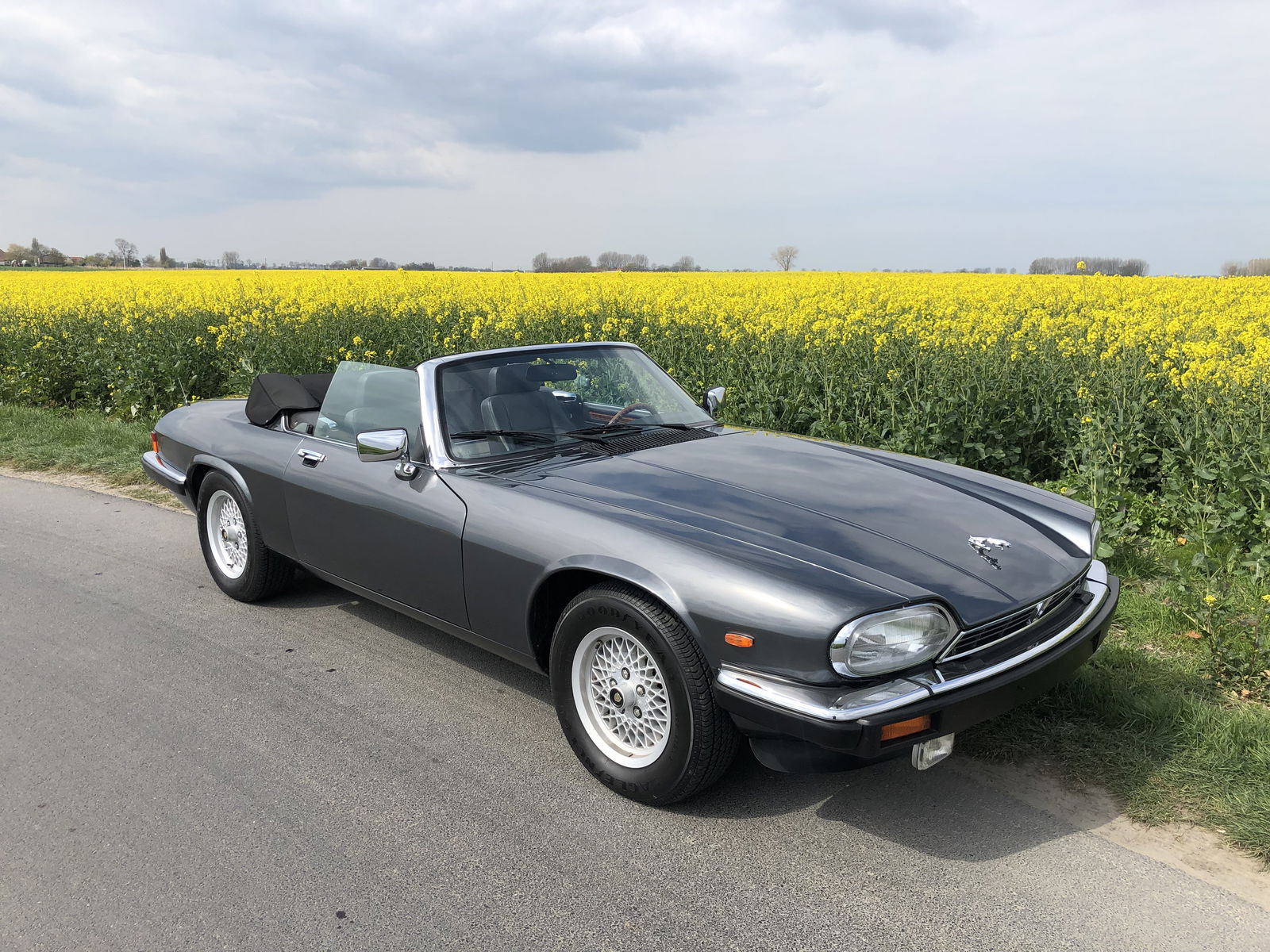 Jaguar XJS Cabrio