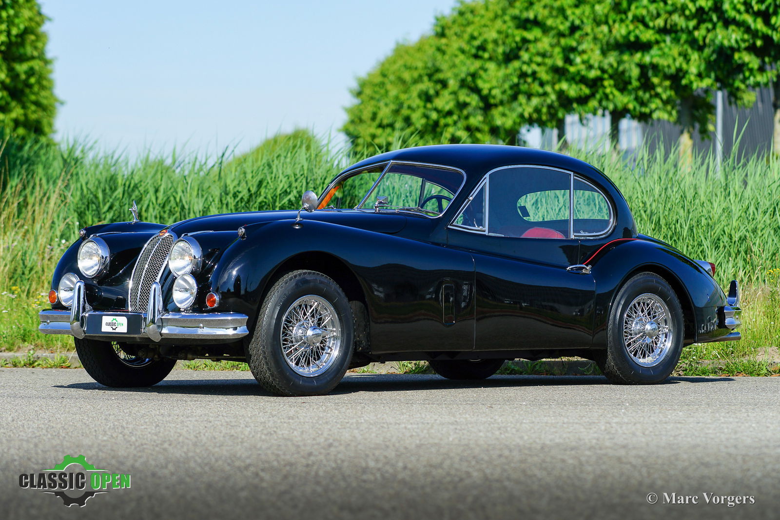 Jaguar XK FHC