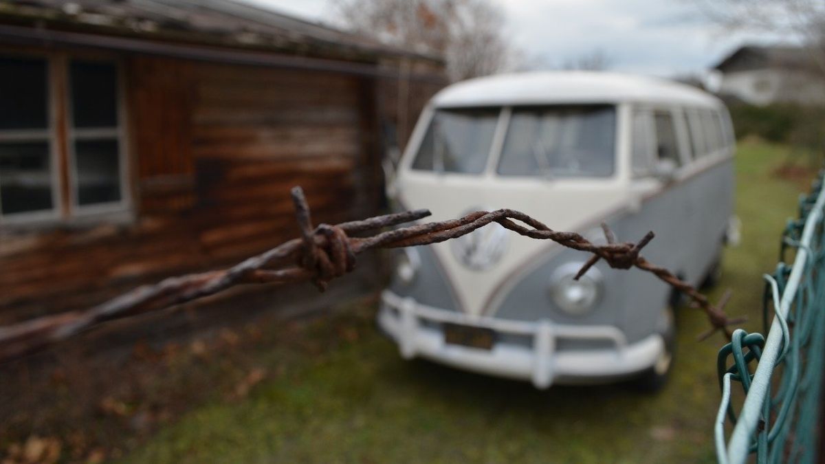 Oldtimerverzekering voor Belgische oldtimers verpl... | Gocar.be