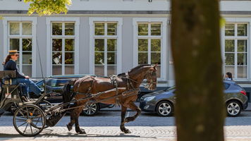 Mobiliteit