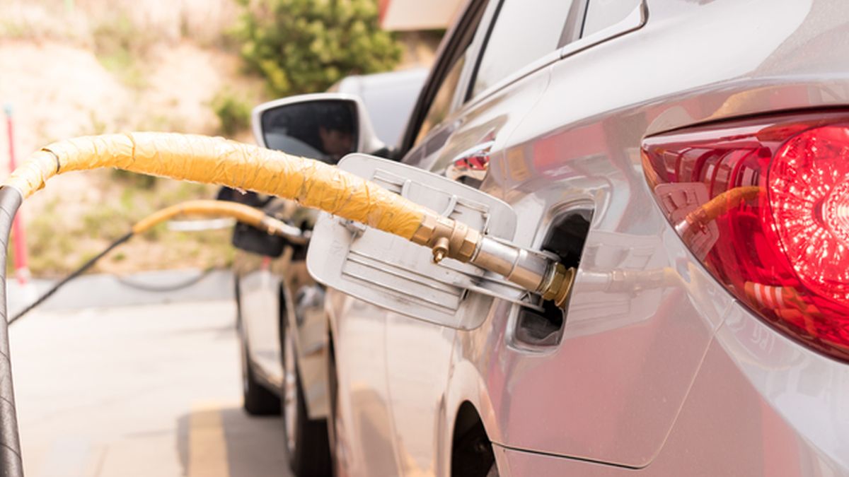 Welk type “groene” auto kiezen? | Gocar.be