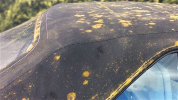 Comment éliminer la moisissure dans sa voiture ?