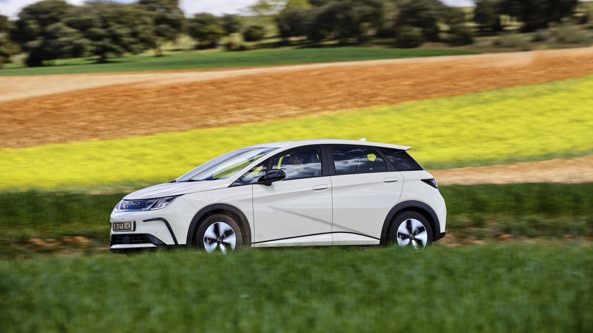 BYD Dolphin