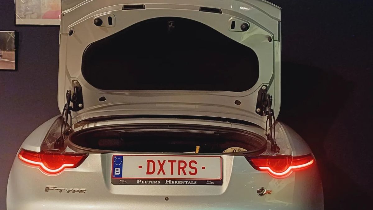 Jag Dexters 2