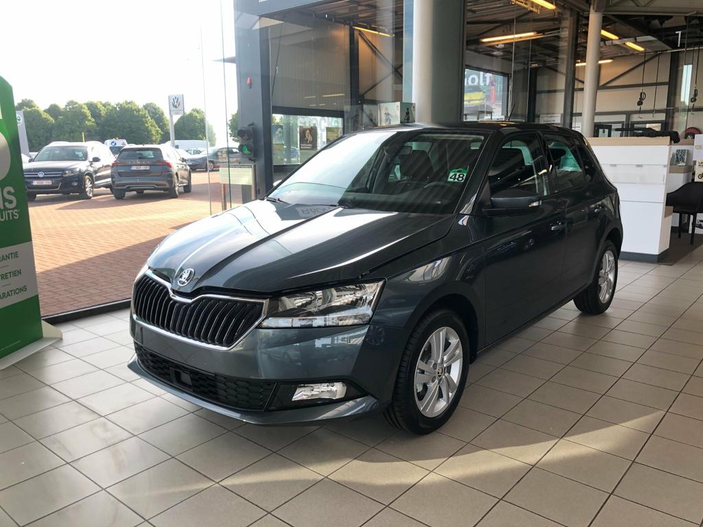 Skoda Fabia 1.0 TSI Clever