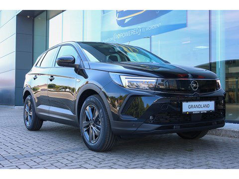 Opel Grandland 1.5D TURBO BUSINESS EDITION AUTOMAAT T8 130PK *MULTIMEDIA *NAVI PRO *DONKER GETINTE RUITEN ACHTER