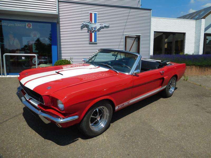 Ford Mustang gt350 tribute