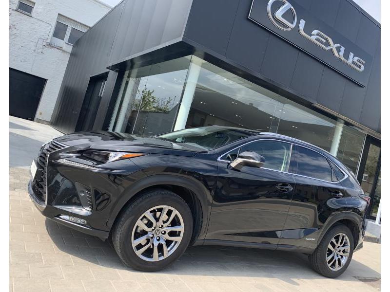 Lexus NX 300H Executive Line 300h AWD